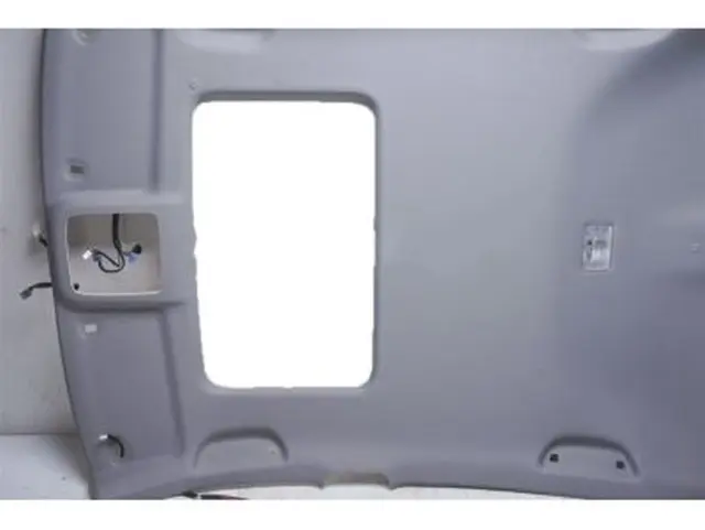 2018-2022 Honda Accord Headliner 83201-TVA-A81ZA | OEM Parts Online