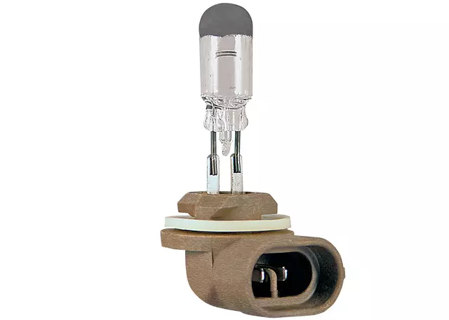 Multi-Purpose Lamp Bulb