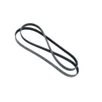 Serpentine Belt