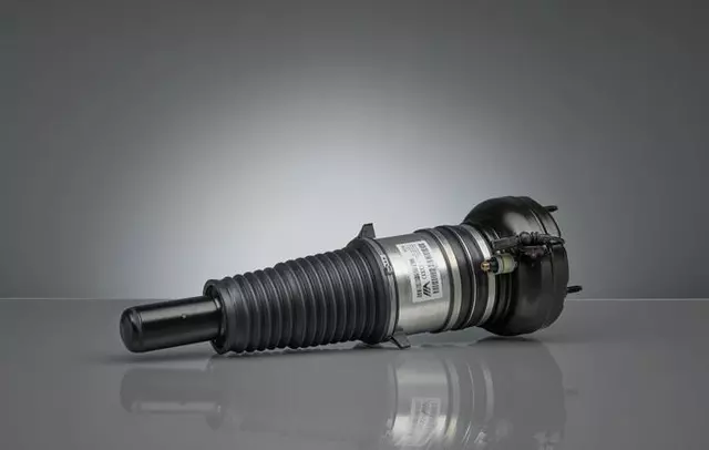 2016-2018 Audi Shock Assembly 4H0-616-039-AS | OEM Parts Online