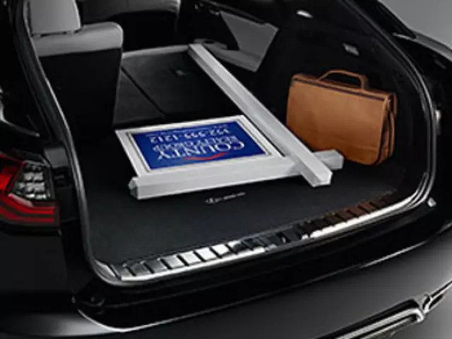 RX 350 Cargo Mat, Carpet