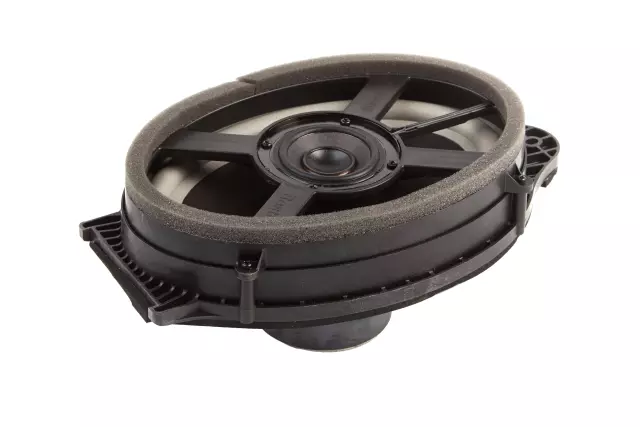 Rear Radio Speaker