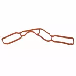 Fuel Injection Plenum Gasket