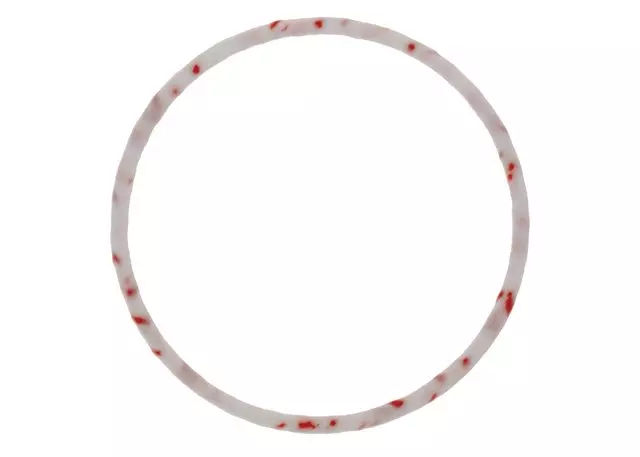 Automatic Transmission Input Shaft Seal