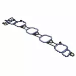 Manifold Gasket