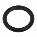 2001-2024 Ford - Vapor Canister Purge Valve Assembly O-Ring