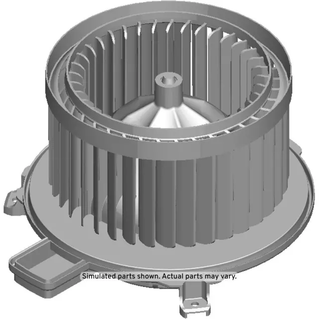 Blower Motor