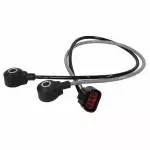 2005-2010 Ford Knock Sensor