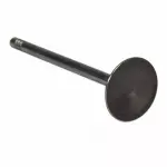 Exhaust Valve