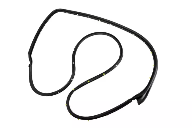 Driver Side Front Door Weatherstrip