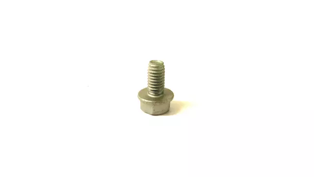 Side Bracket Screw