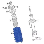 Coil Spring