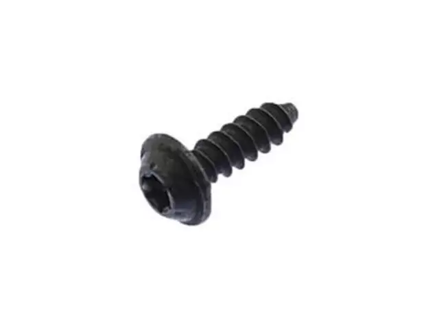 Tail Lamp Assembly Screw