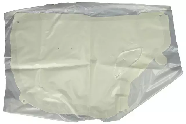 Driver Side Front Door Water Deflector