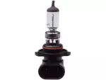Fog Lamp Bulb