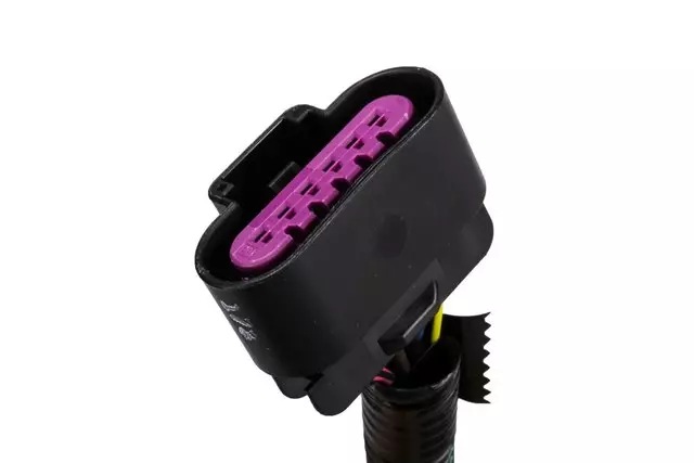 Passenger Side Tail Lamp Assembly