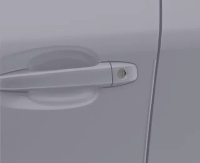 Door Edge Guard Kit - Ice Silver Metallic