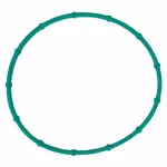 Fuel Injection Throttle Body Mounting Gasket