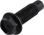 Door Check Bolt