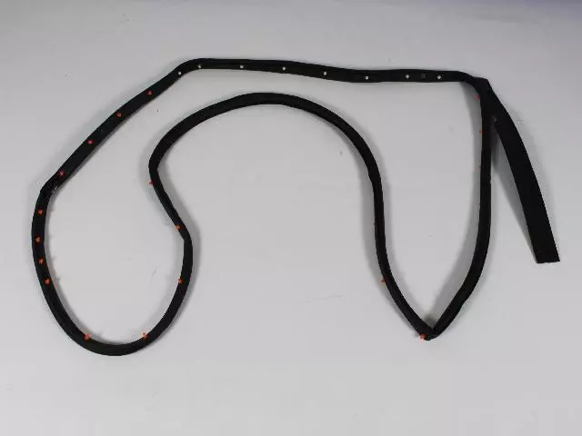 Rear Door Mounted Weatherstrip, Left