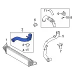 2020-2024 Ford - Inter-Cooler Hose