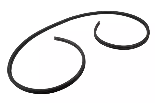 Driver Side Rear Door Weatherstrip