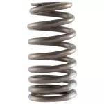 Valve Springs