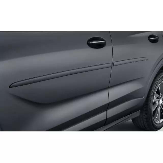 GM Exterior Trim Bodyside Molding 42696961