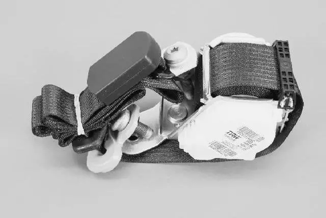 Rear Seat Belt, Left