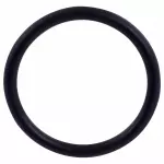 2017-2024 Ford - Thermostat Housing O-Ring