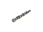 Engine Camshaft