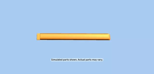 Rear Passenger Side Door Molding