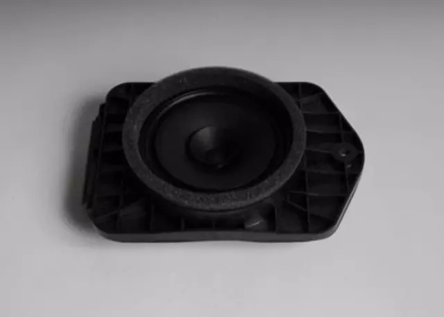 Rear Side Door Speaker
