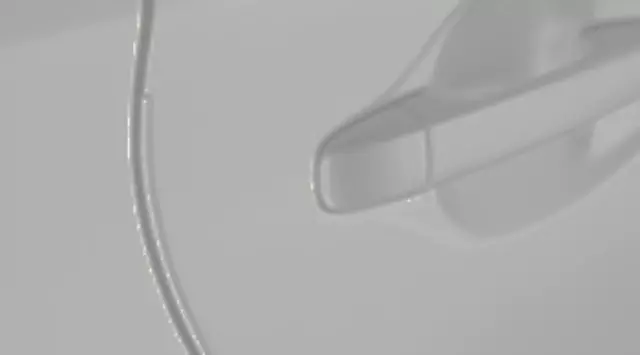 Door Edge Guards, Blizzard Pearl