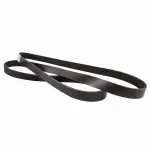 Motorcraft™ Serpentine Belt