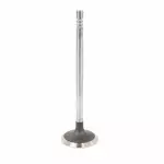 Exhaust Valve