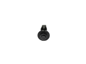 2020-2021 Dodge Challenger Round Head Screw And Retainer, Right  