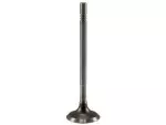 Exhaust Valve