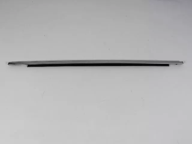 Front Door Belt Weatherstrip, Left