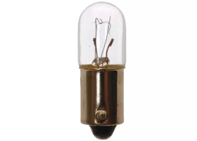 Multi-Purpose Bulb