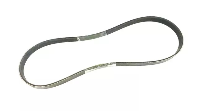 Alternator Belt