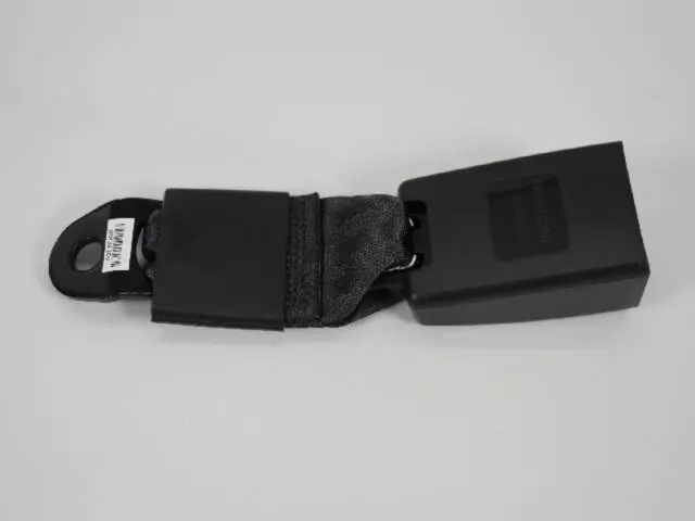 Rear Lap Buckle Seat Belt