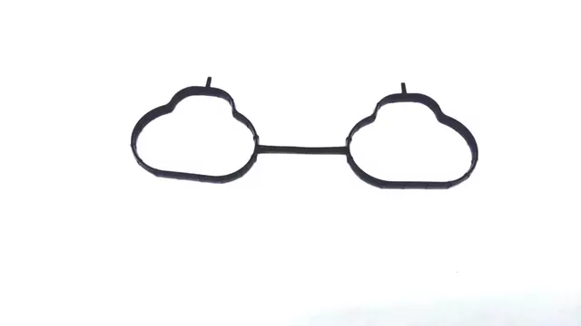 Manifold Gasket