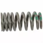 2015-2022 Ford - Valve Springs