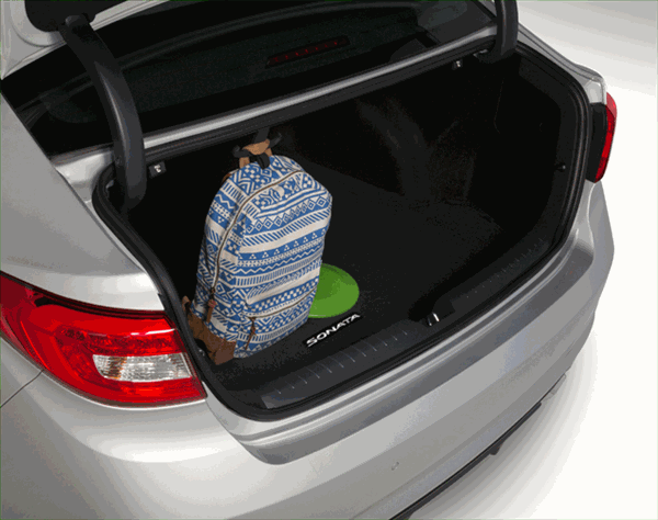 2014-2015 Hyundai Cargo Hook Sonata Elantra Genesis Coupe