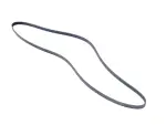 Serpentine Belt
