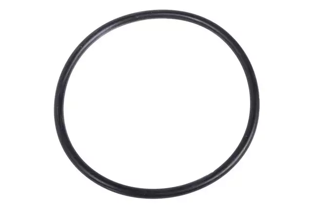 Front Wheel Bearing Seal (O-Ring)