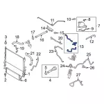 2020-2023 Ford Lower Hose - Motorcraft (KM-6757)