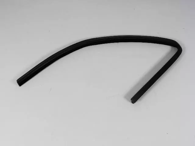 Rear Door Glass Seal, Left