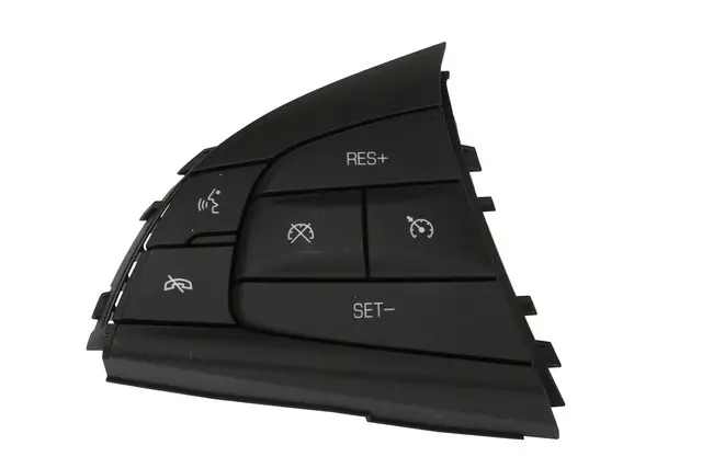Black Cruise Control Switch